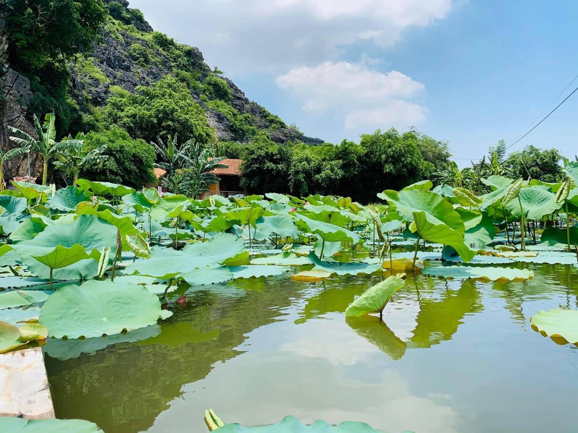 Lake Retreat Ниньбинь Экстерьер фото